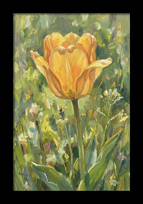 Yellow Tulip In Bloom