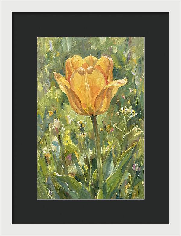 Yellow Tulip In Bloom