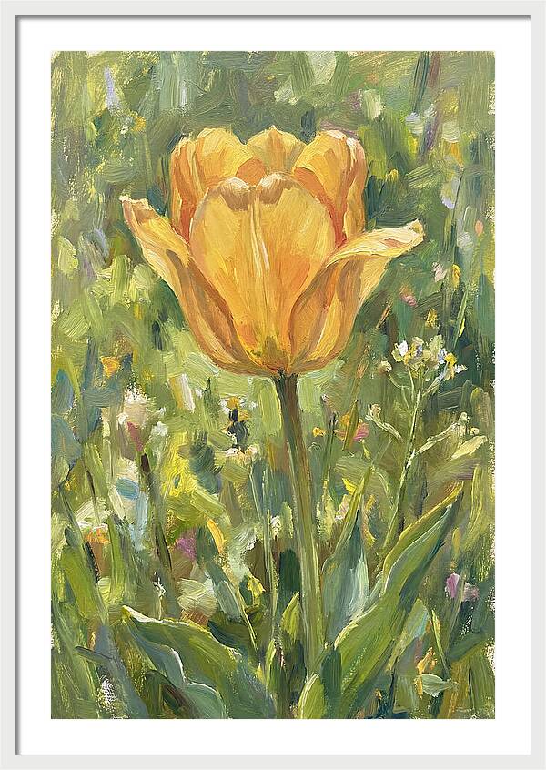 Yellow Tulip In Bloom