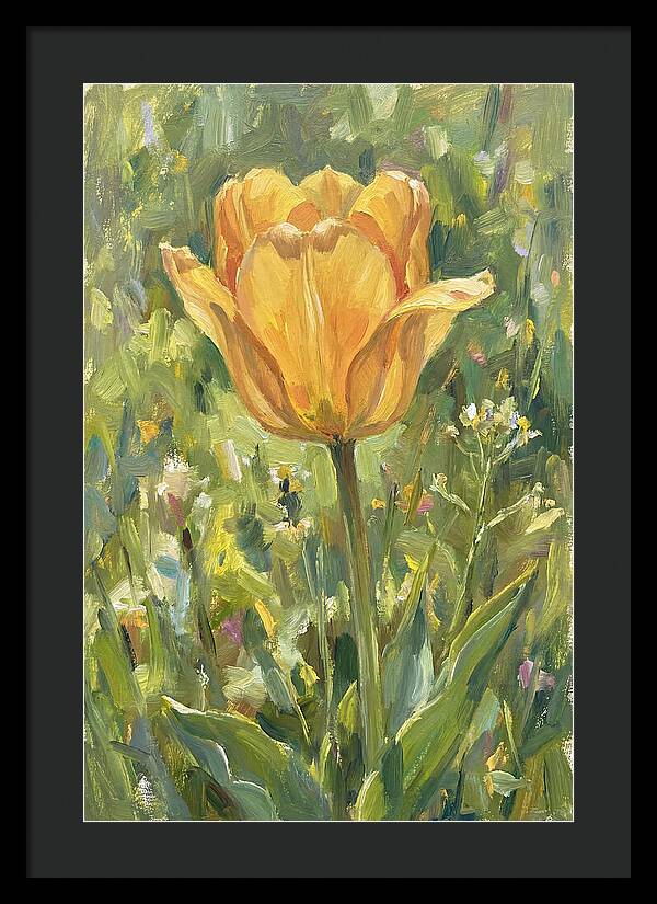 Yellow Tulip In Bloom