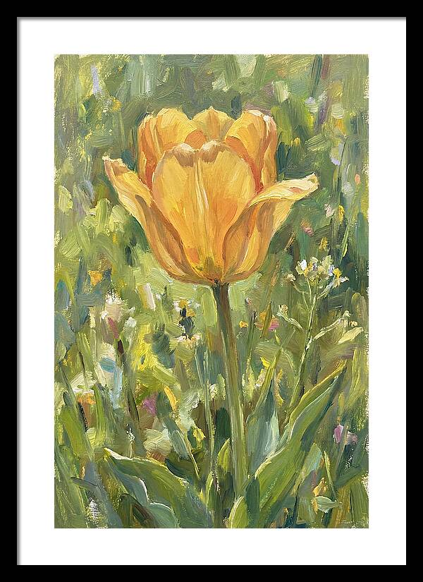 Yellow Tulip In Bloom