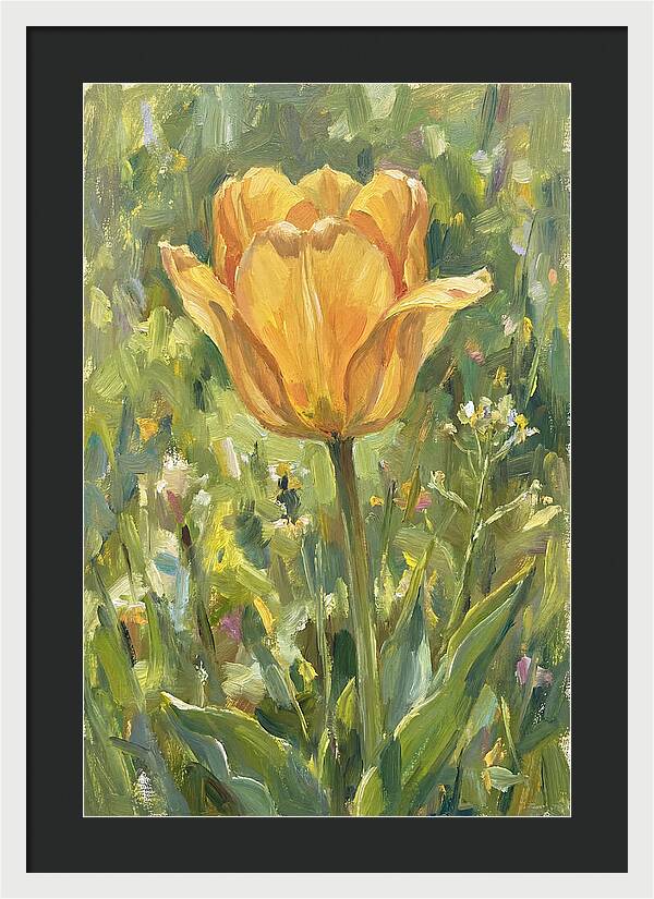 Yellow Tulip In Bloom