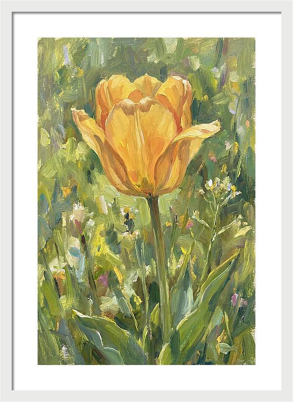 Yellow Tulip In Bloom