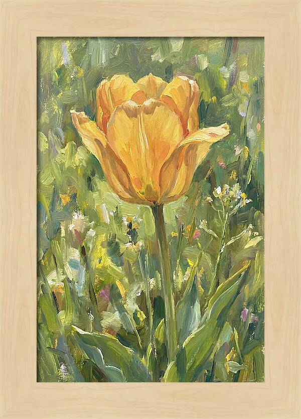 Yellow Tulip In Bloom