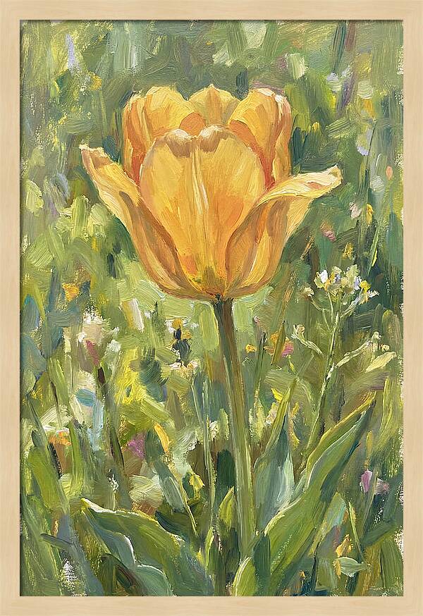 Yellow Tulip In Bloom