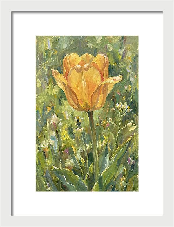 Yellow Tulip In Bloom