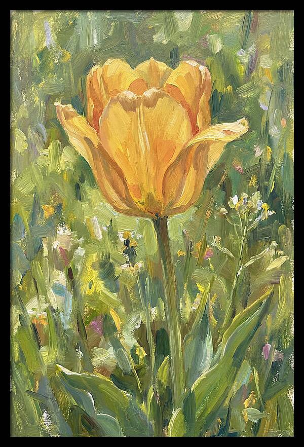Yellow Tulip In Bloom