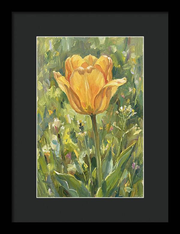 Yellow Tulip In Bloom