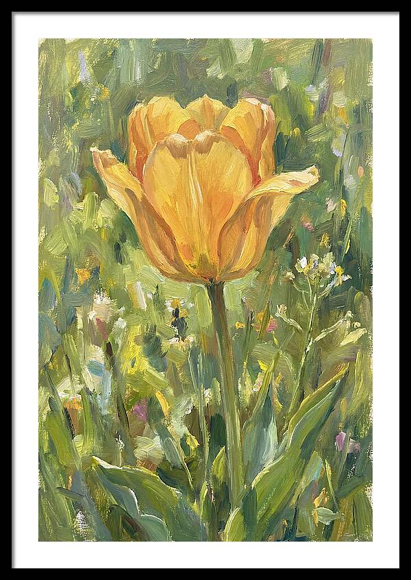 Yellow Tulip In Bloom