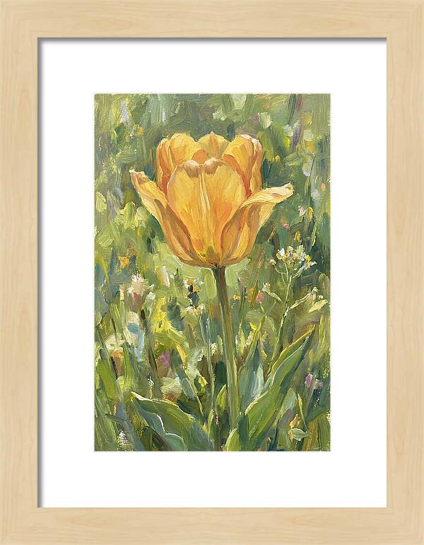 Yellow Tulip In Bloom