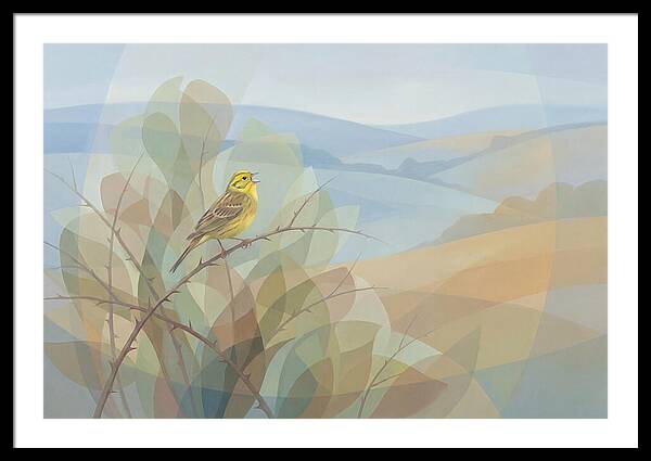 Yellowhammer Singing From Bush Top