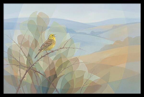 Yellowhammer Singing From Bush Top