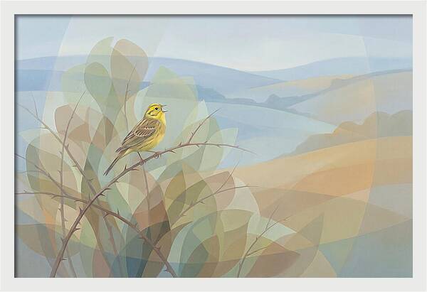 Yellowhammer Singing From Bush Top