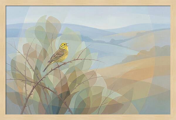 Yellowhammer Singing From Bush Top