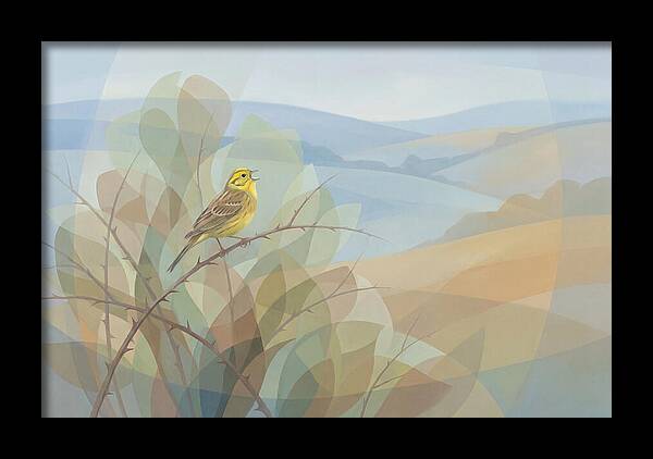 Yellowhammer Singing From Bush Top