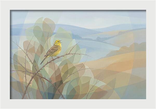 Yellowhammer Singing From Bush Top