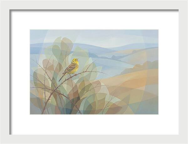 Yellowhammer Singing From Bush Top