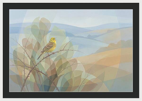 Yellowhammer Singing From Bush Top