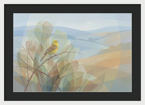 Yellowhammer Singing From Bush Top