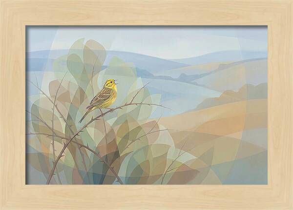 Yellowhammer Singing From Bush Top