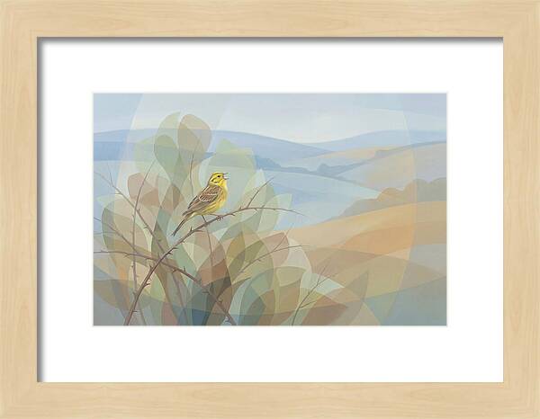 Yellowhammer Singing From Bush Top