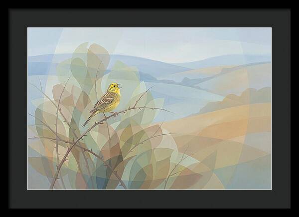 Yellowhammer Singing From Bush Top