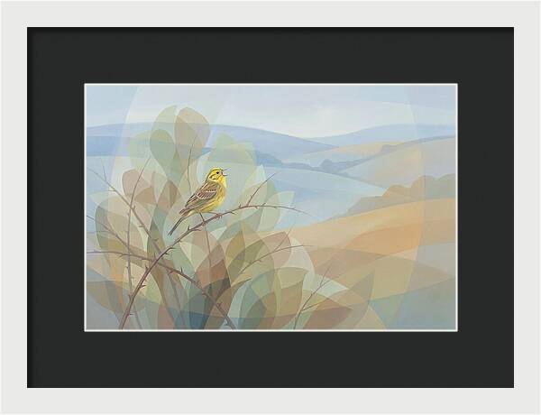 Yellowhammer Singing From Bush Top
