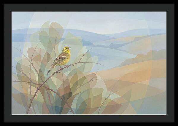 Yellowhammer Singing From Bush Top