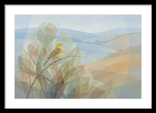 Yellowhammer Singing From Bush Top