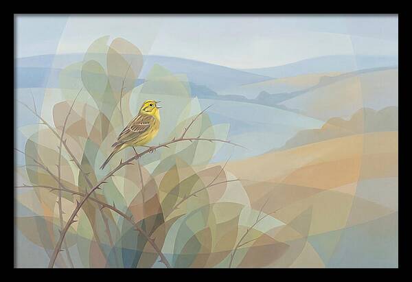 Yellowhammer Singing From Bush Top