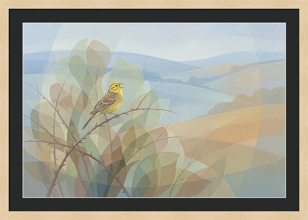 Yellowhammer Singing From Bush Top