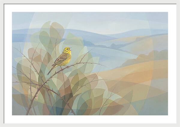 Yellowhammer Singing From Bush Top