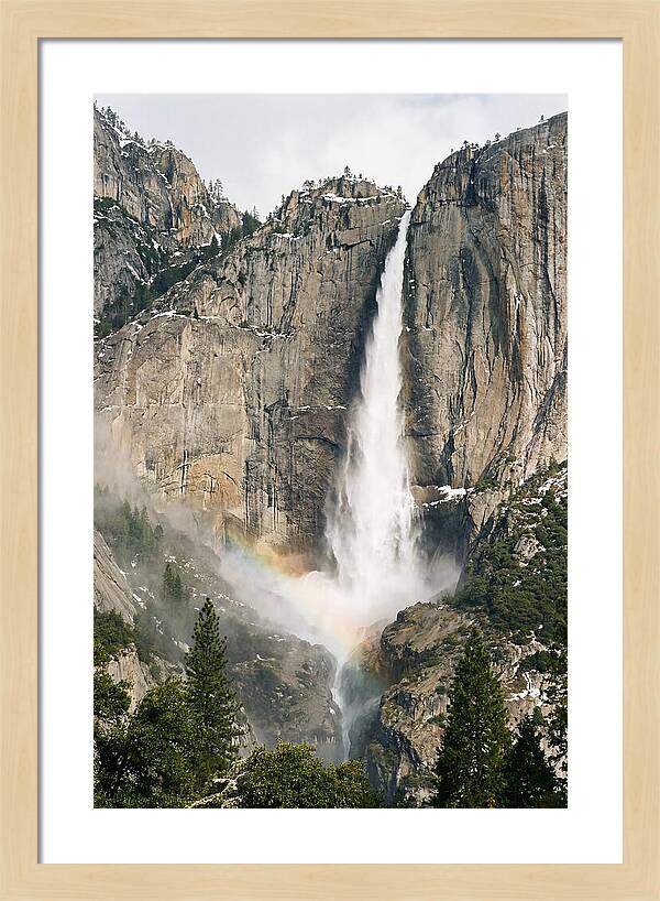 Yosemite Falls In Spring Splendor