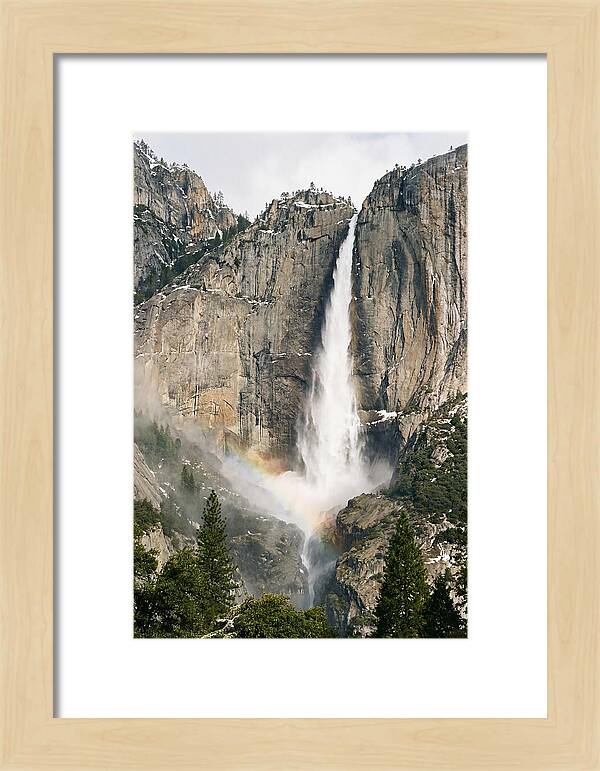 Yosemite Falls In Spring Splendor