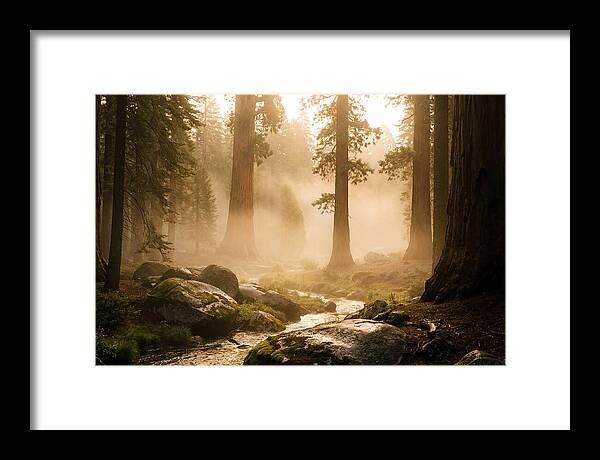 Yosemite Valley Dawn Fog