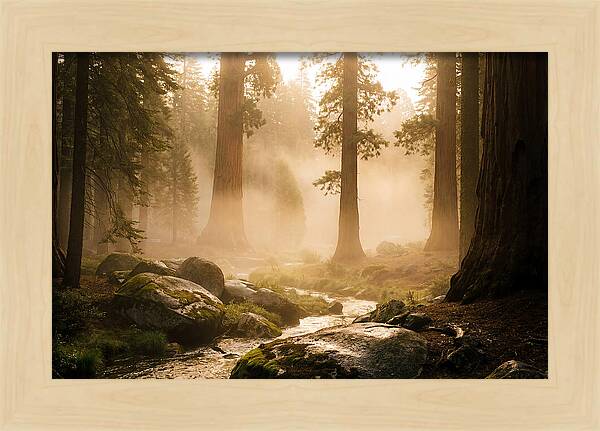 Yosemite Valley Dawn Fog