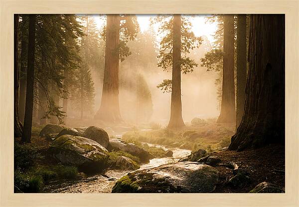 Yosemite Valley Dawn Fog