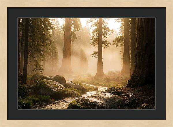 Yosemite Valley Dawn Fog