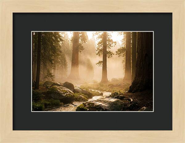 Yosemite Valley Dawn Fog
