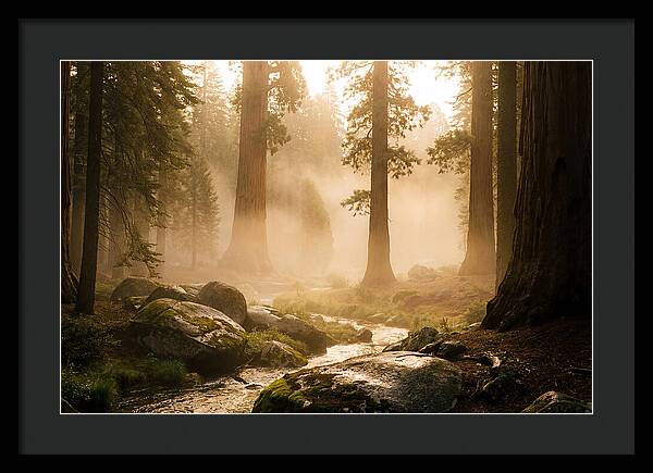 Yosemite Valley Dawn Fog