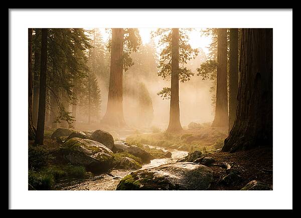 Yosemite Valley Dawn Fog