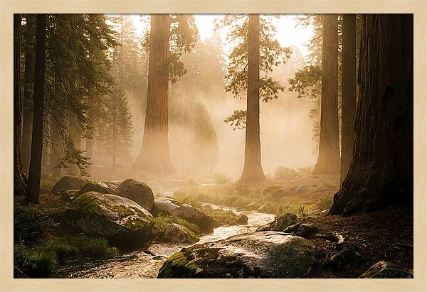 Yosemite Valley Dawn Fog