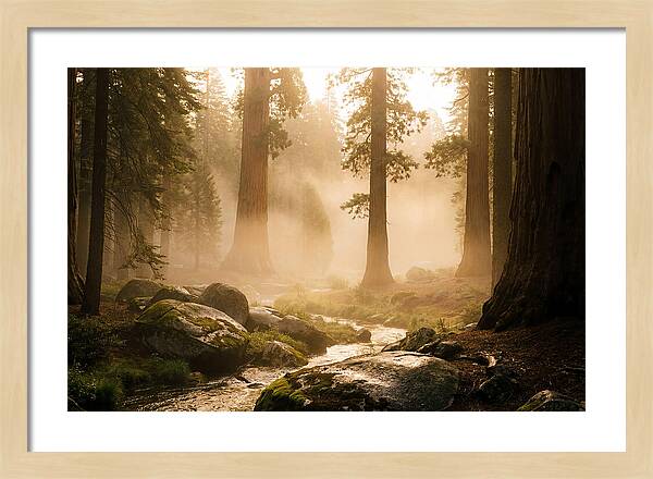 Yosemite Valley Dawn Fog
