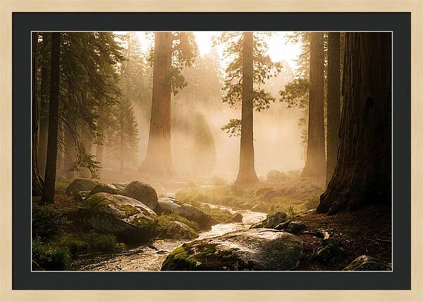 Yosemite Valley Dawn Fog