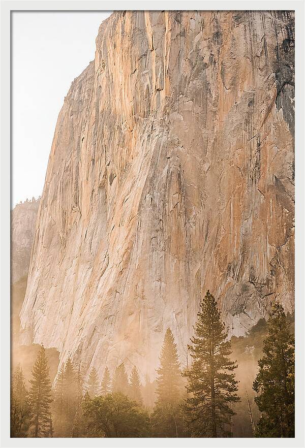 Yosemite Valley Morning Glow