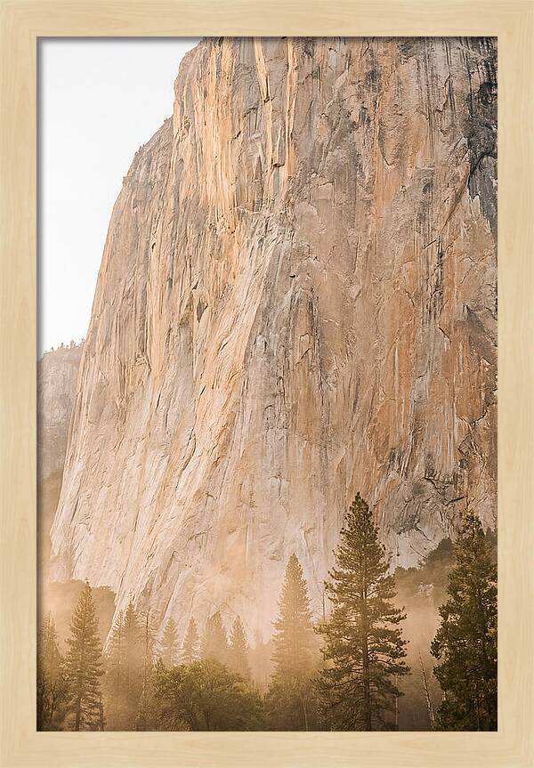 Yosemite Valley Morning Glow
