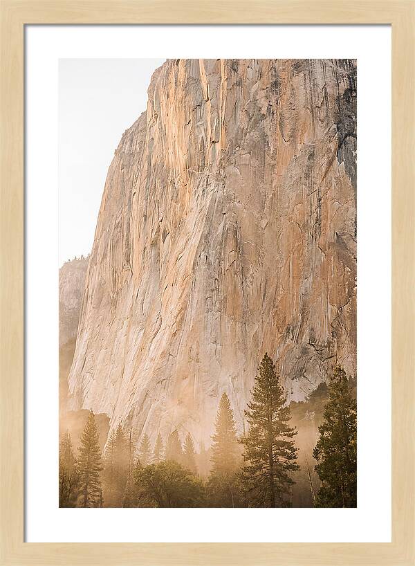 Yosemite Valley Morning Glow