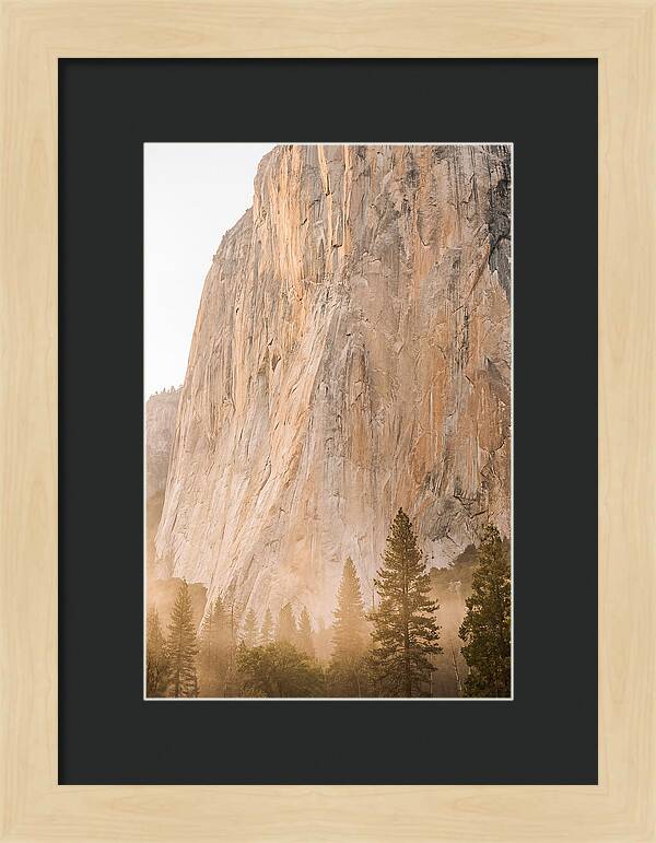 Yosemite Valley Morning Glow