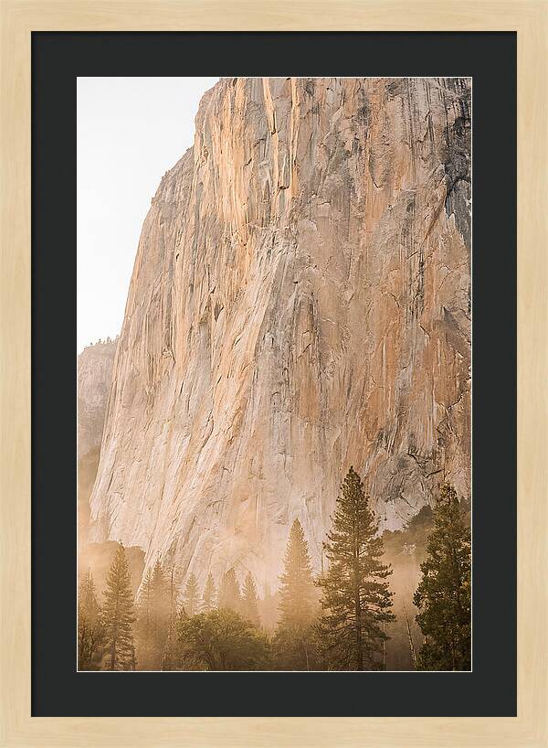 Yosemite Valley Morning Glow