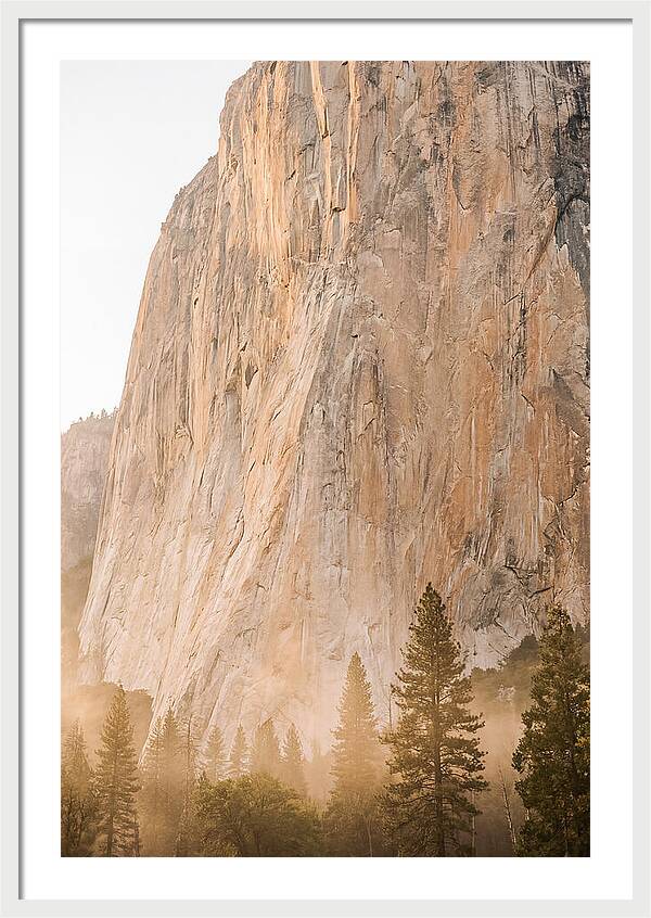 Yosemite Valley Morning Glow